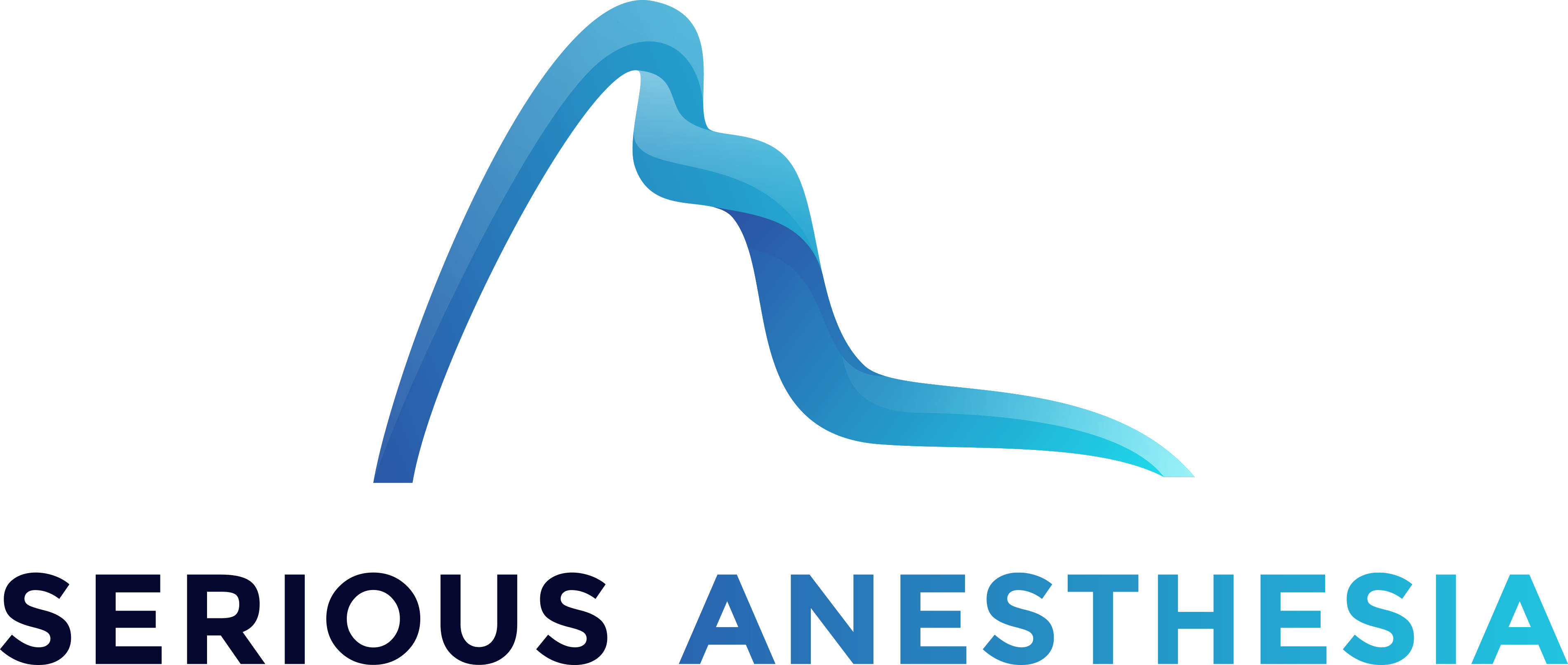 Stichting Serious Anesthesia logo
